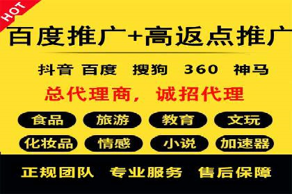百度SEO推广：从零到一的成长案例